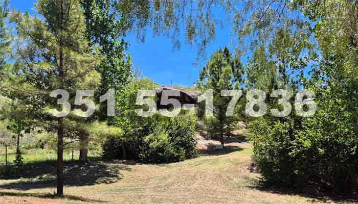 Entorno serrano: Cabaña Mediterranea