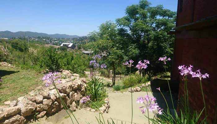 Cabañas con  parque